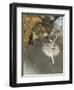 l'Etoile ou Danseuse sur scène-Edgar Degas-Framed Giclee Print