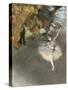 l'Etoile ou Danseuse sur scène-Edgar Degas-Stretched Canvas
