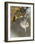 l'Etoile ou Danseuse sur scène-Edgar Degas-Framed Giclee Print