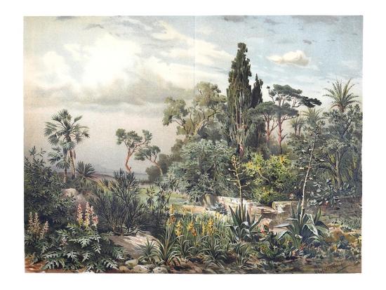 Photographic Print, , large