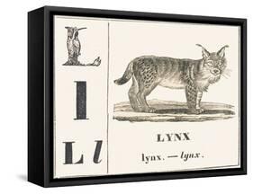 L for Lynx, 1850 (Engraving)-Louis Simon (1810-1870) Lassalle-Framed Stretched Canvas