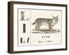 L for Lynx, 1850 (Engraving)-Louis Simon (1810-1870) Lassalle-Framed Giclee Print