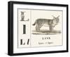 L for Lynx, 1850 (Engraving)-Louis Simon (1810-1870) Lassalle-Framed Giclee Print