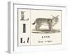 L for Lynx, 1850 (Engraving)-Louis Simon (1810-1870) Lassalle-Framed Giclee Print