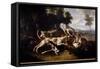 L'hallali Du Deer Hunting Dogs Finishing a Deer - Painting by Jean Baptiste Oudry (1686-1755) 18Th-Jean-Baptiste Oudry-Framed Stretched Canvas