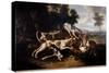 L'hallali Du Deer Hunting Dogs Finishing a Deer - Painting by Jean Baptiste Oudry (1686-1755) 18Th-Jean-Baptiste Oudry-Stretched Canvas