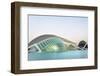 L'Hemisferic-Lee Frost-Framed Photographic Print