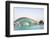 L'Hemisferic-Lee Frost-Framed Photographic Print