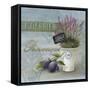 L'Herbier-Angela Staehling-Framed Stretched Canvas