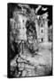 L'Herm Chateau, Dordogne, France-Simon Marsden-Framed Stretched Canvas