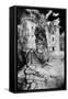 L'Herm Chateau, Dordogne, France-Simon Marsden-Framed Stretched Canvas