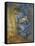 L'Homme Est En Mer-Vincent van Gogh-Framed Stretched Canvas