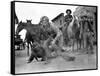 L'Homme qui n'a pas d'etoile MAN WITHOUT A STAR by King Vidor with Kirk Douglas, 1955 (b/w photo)-null-Framed Stretched Canvas