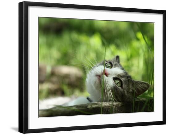 Premium Photographic Print, , large