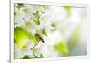Gramercy White