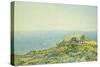 L'Ile Du Levant, Vu Du Cap Benat, 1893-Theo van Rysselberghe-Stretched Canvas