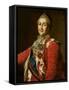 L'imperatrice Catherine II De Russie - Portrait of Empress Catherine II (1729-1796) in Red Dress, B-Dmitri Grigor'evich Levitsky-Framed Stretched Canvas