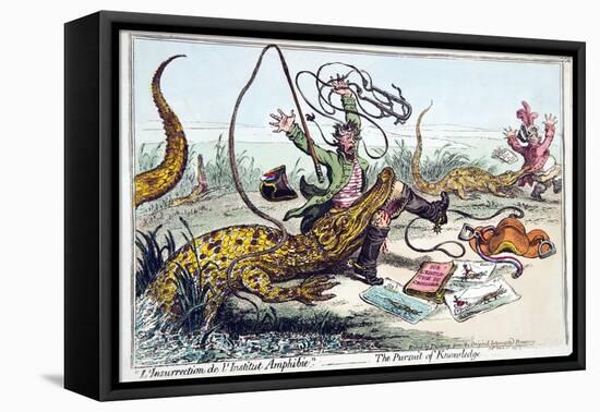 L'Insurrection De L'Institut Amphibie' or the Pursuit of Knowledge-James Gillray-Framed Stretched Canvas