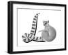 L is for Lemur-Stacy Hsu-Framed Art Print