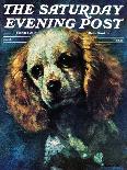 "Cocker Spaniel," Saturday Evening Post Cover, March 1, 1975-L. Mayer-Stretched Canvas