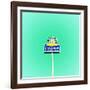 L'Oasis Car Wash Sign in America-Salvatore Elia-Framed Photographic Print