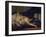 L'Odalisque-Francois Boucher-Framed Giclee Print