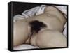 L'Origine du monde-Gustave Courbet-Framed Stretched Canvas