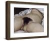 L'Origine du monde-Gustave Courbet-Framed Giclee Print