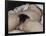 L'Origine du monde-Gustave Courbet-Framed Giclee Print