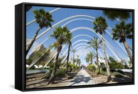 L'Umbracle (Landscaped Walk) at the City of Arts and Sciences (Ciudad De Las Artes Y Las Ciencias)-Lee Frost-Framed Stretched Canvas