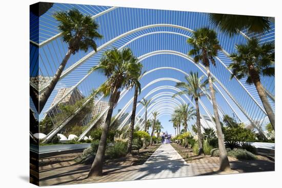 L'Umbracle (Landscaped Walk) at the City of Arts and Sciences (Ciudad De Las Artes Y Las Ciencias)-Lee Frost-Stretched Canvas