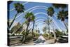 L'Umbracle (Landscaped Walk) at the City of Arts and Sciences (Ciudad De Las Artes Y Las Ciencias)-Lee Frost-Stretched Canvas