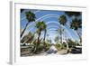 L'Umbracle (Landscaped Walk) at the City of Arts and Sciences (Ciudad De Las Artes Y Las Ciencias)-Lee Frost-Framed Photographic Print