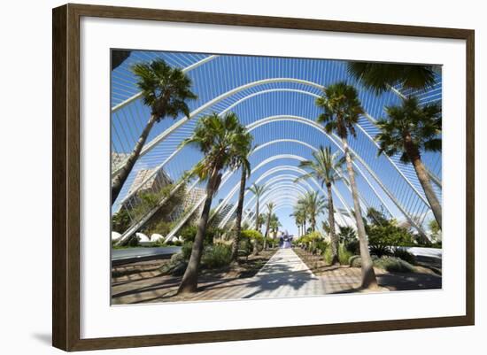 L'Umbracle (Landscaped Walk) at the City of Arts and Sciences (Ciudad De Las Artes Y Las Ciencias)-Lee Frost-Framed Photographic Print