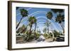 L'Umbracle (Landscaped Walk) at the City of Arts and Sciences (Ciudad De Las Artes Y Las Ciencias)-Lee Frost-Framed Photographic Print