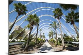 L'Umbracle (Landscaped Walk) at the City of Arts and Sciences (Ciudad De Las Artes Y Las Ciencias)-Lee Frost-Mounted Photographic Print