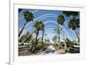 L'Umbracle (Landscaped Walk) at the City of Arts and Sciences (Ciudad De Las Artes Y Las Ciencias)-Lee Frost-Framed Photographic Print