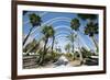 L'Umbracle (Landscaped Walk) at the City of Arts and Sciences (Ciudad De Las Artes Y Las Ciencias)-Lee Frost-Framed Photographic Print