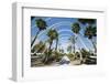 L'Umbracle (Landscaped Walk) at the City of Arts and Sciences (Ciudad De Las Artes Y Las Ciencias)-Lee Frost-Framed Photographic Print