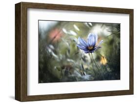 L'unification des Interactions-Fabien BRAVIN-Framed Photographic Print