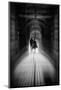 L'Union-eric drigny-Mounted Photographic Print