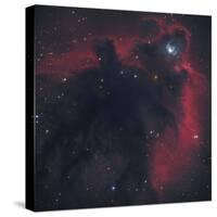 L1622, Cometary Globule in Orion-null-Stretched Canvas