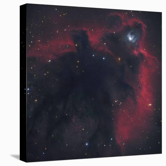 L1622, Cometary Globule in Orion-null-Stretched Canvas