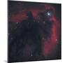 L1622, Cometary Globule in Orion-null-Mounted Photographic Print