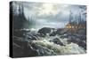 L30 Rapids Cabin-D. Rusty Rust-Stretched Canvas