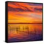 La Albufera Lake Sunset in El Saler of Valencia at Spain-Naturewolrd-Framed Stretched Canvas