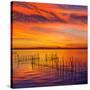 La Albufera Lake Sunset in El Saler of Valencia at Spain-Naturewolrd-Stretched Canvas