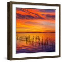 La Albufera Lake Sunset in El Saler of Valencia at Spain-Naturewolrd-Framed Photographic Print