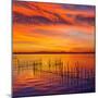 La Albufera Lake Sunset in El Saler of Valencia at Spain-Naturewolrd-Mounted Photographic Print