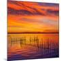 La Albufera Lake Sunset in El Saler of Valencia at Spain-Naturewolrd-Mounted Photographic Print